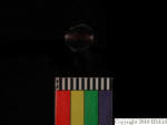 L_V20d4089 A16q166.2 R827 dM bd f34.JPG L_V20d4089 A16q166.2 R827 dM bd f34